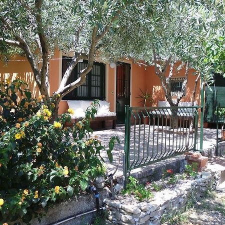 Il Vigneto "Cottage" Gaggi Habitación foto